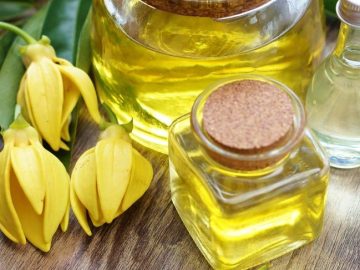 Ylang Ylang yağı